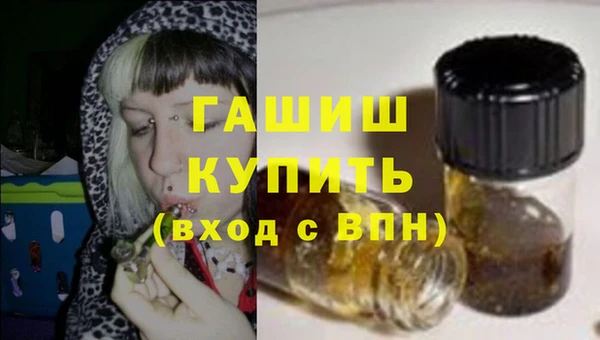 гидра Елизово