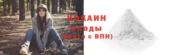 2c-b Ельня