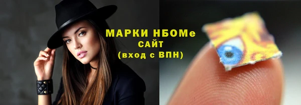2c-b Ельня
