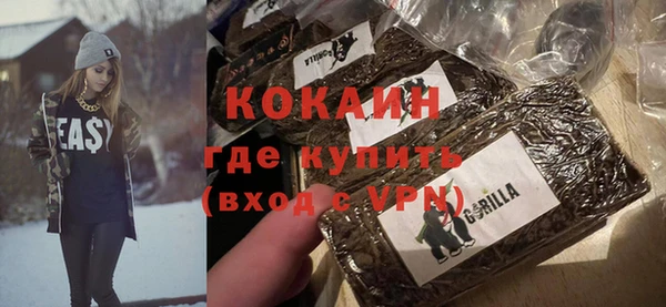 шишки Заволжск