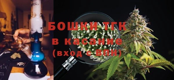 шишки Усинск