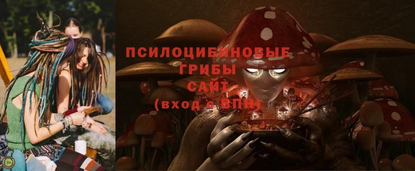 Альфа ПВП Гусев