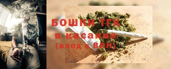 гидра Елизово