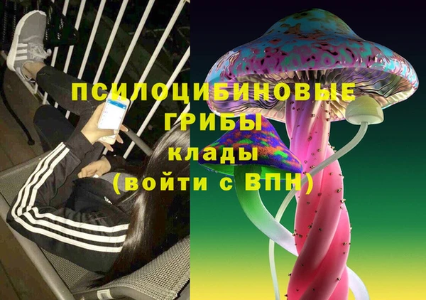 таблы Гусиноозёрск