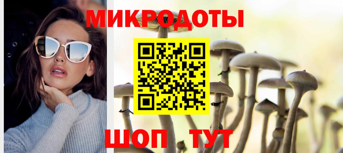 Гурьевск  где найти   Вход с VPN  Галлюциногенные грибы Psilocybine cubensis 